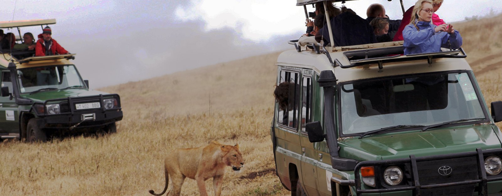 13 Day Namibia All Inclusive Fly-In Safari