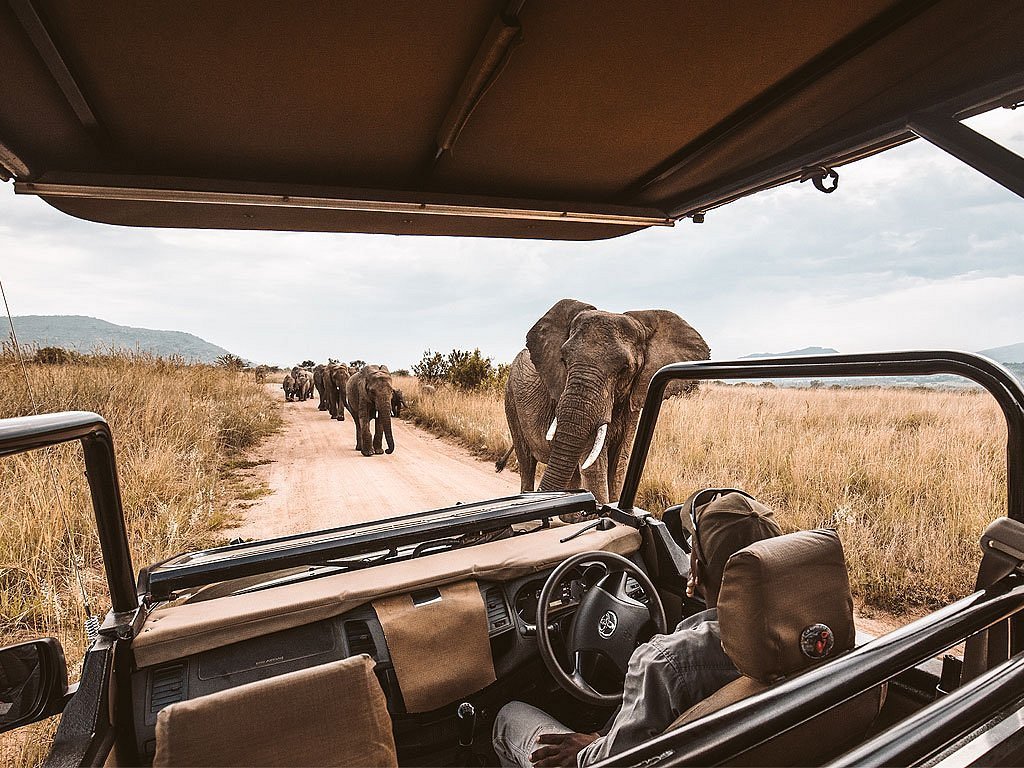 10-days-best-of-namibia-safari