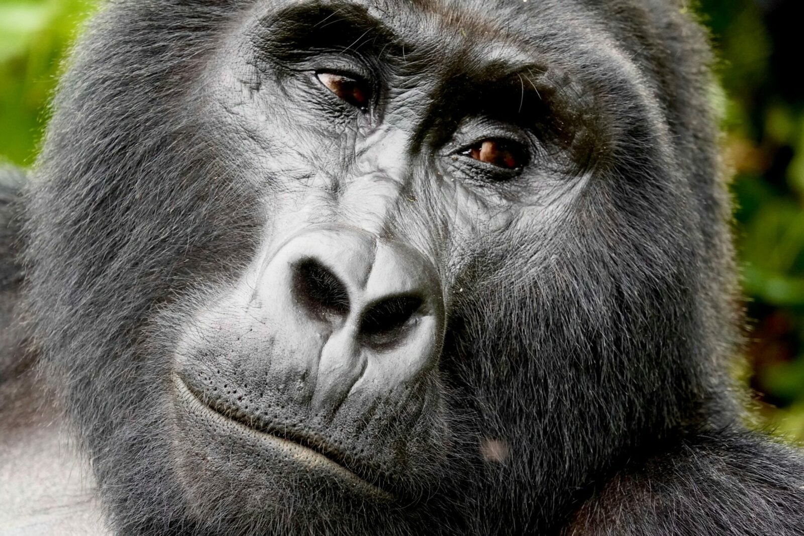 13 Day Namibia All Inclusive Fly-In Safari